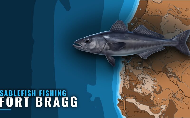 Sablefish Fishing out of Fort Bragg: Noyo Grounds