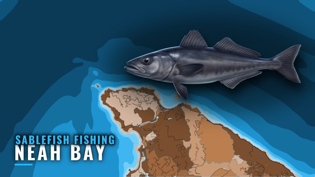 Sablefish Fishing Out of Neah Bay: Grounds, Runs, Rules