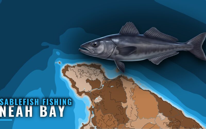 Sablefish Fishing Out of Neah Bay: Grounds, Runs, Rules