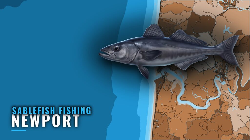 Sablefish Fishing Out of Newport: Season, Runs and Grounds
