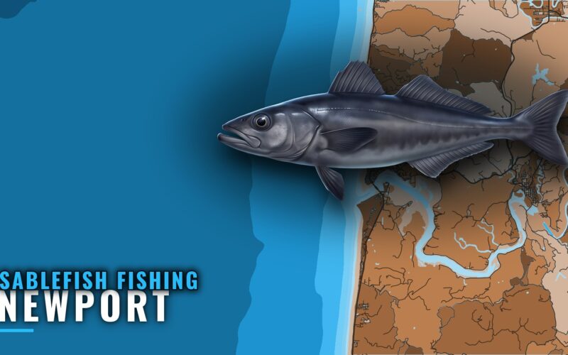 Sablefish Fishing Out of Newport: Season, Runs and Grounds