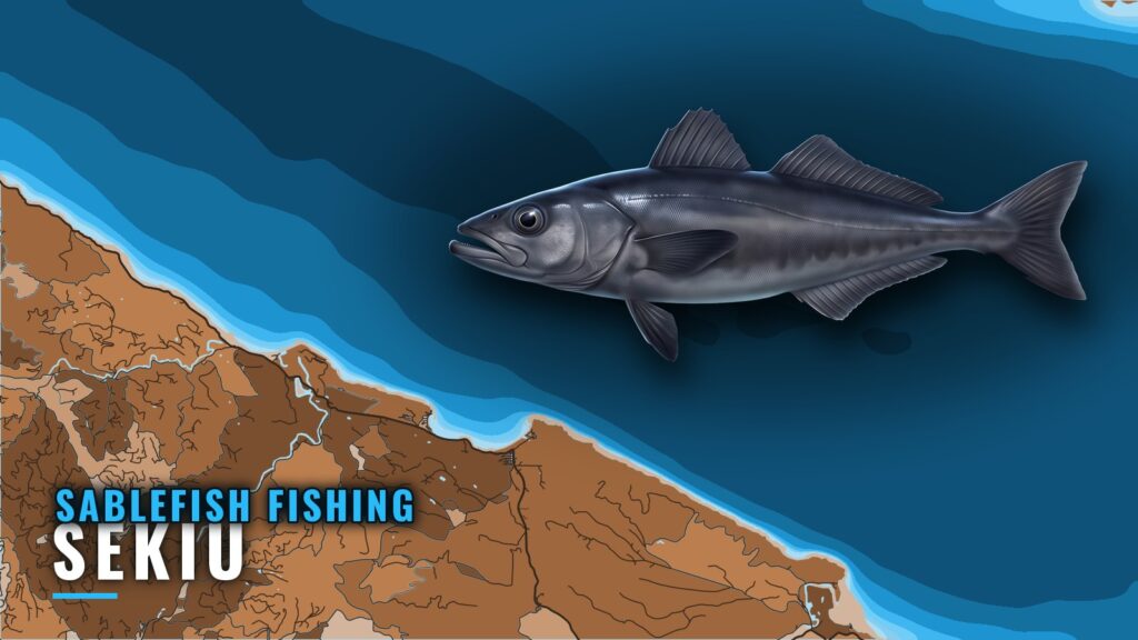Sablefish Fishing Out of Sekiu: Grounds, Depths and Buoy