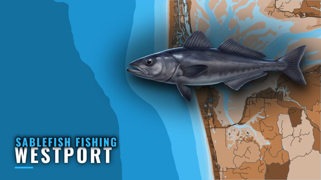 Sablefish Fishing Out of Westport: Grounds and Depths
