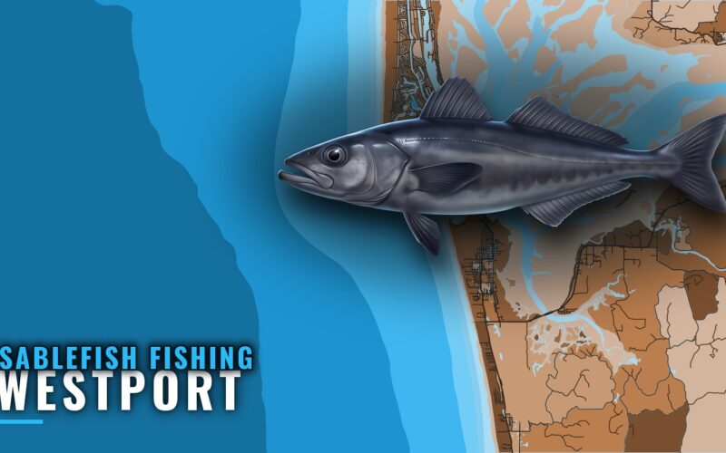 Sablefish Fishing Out of Westport: Grounds and Depths