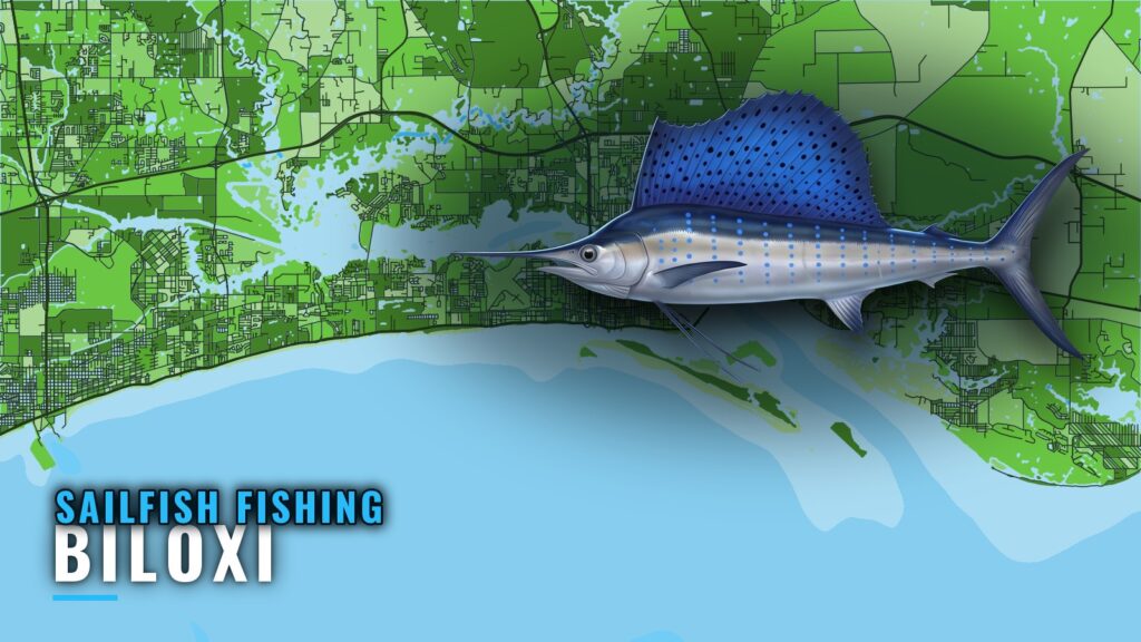 Sailfish Fishing Out of Biloxi: Grounds, Methods, Buoy