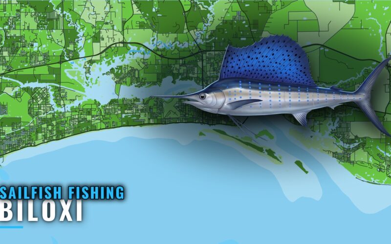 Sailfish Fishing Out of Biloxi: Grounds, Methods, Buoy