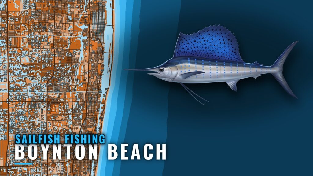 Sailfish Fishing Out of Boynton Beach: Season and Grounds