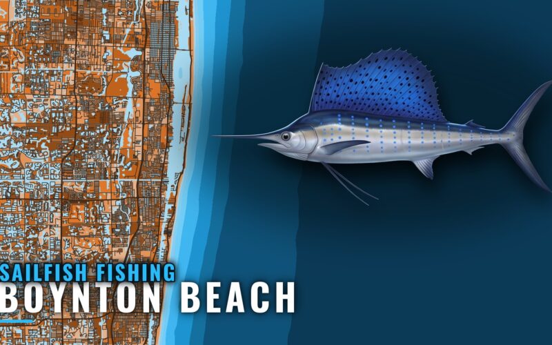 Sailfish Fishing Out of Boynton Beach: Season and Grounds