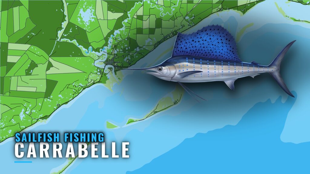 Sailfish Fishing out of Carrabelle: Season, Reefs, Towers