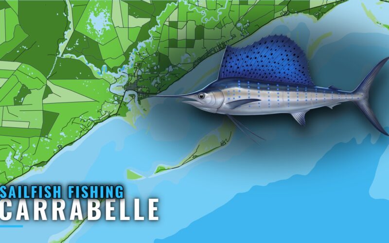 Sailfish Fishing out of Carrabelle: Season, Reefs, Towers