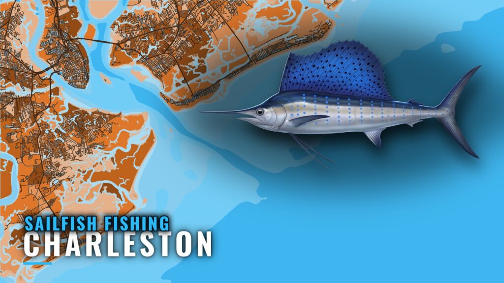 Sailfish Fishing Out of Charleston: Timing, Run and Rules