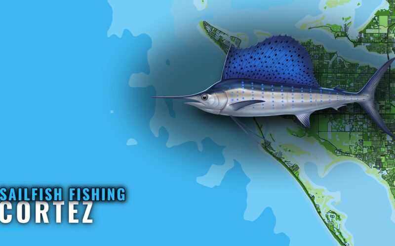 Sailfish Fishing Out of Cortez: Grounds, Depths, Bearings