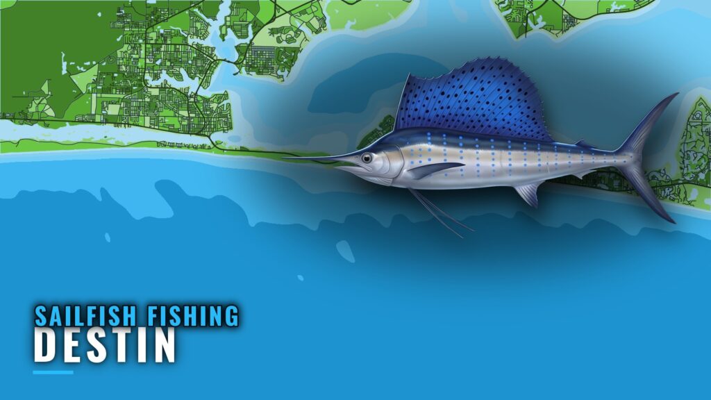 Sailfish Fishing Out of Destin: Season, Grounds and Runs