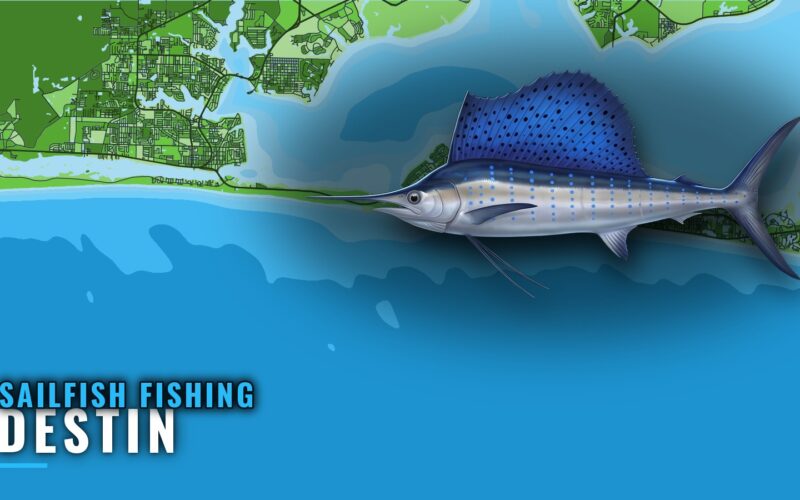 Sailfish Fishing Out of Destin: Season, Grounds and Runs
