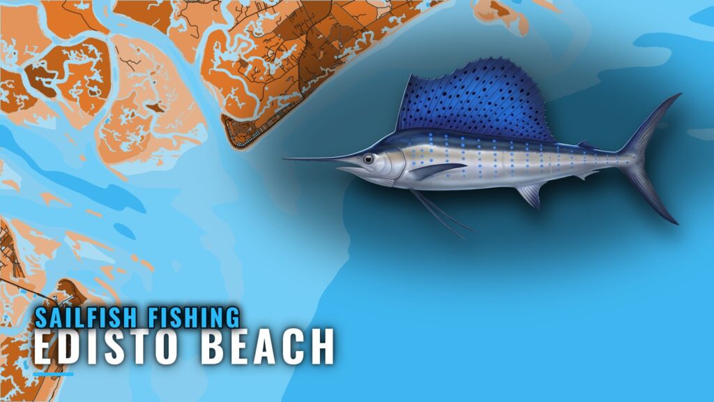 Sailfish Fishing Out of Edisto Beach: Grounds and Season