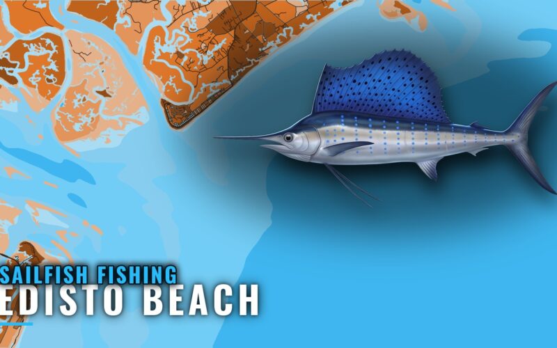 Sailfish Fishing Out of Edisto Beach: Grounds and Season