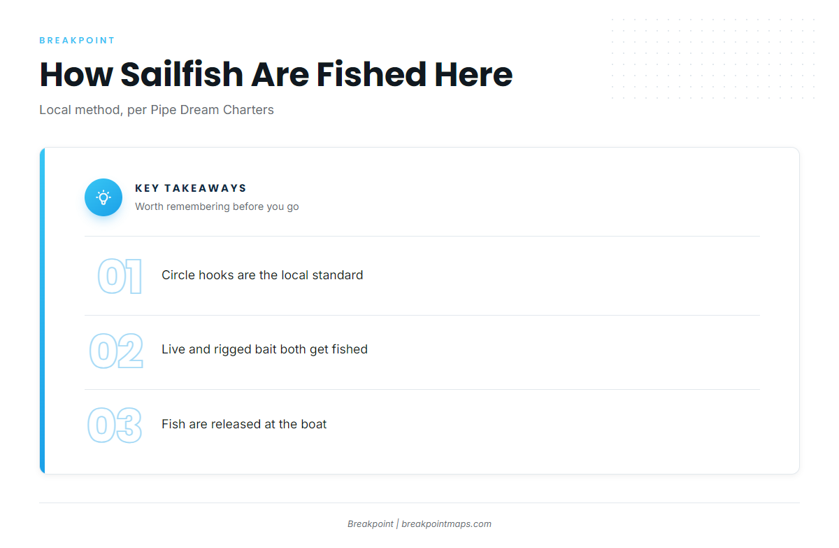 How sailfish are fished here