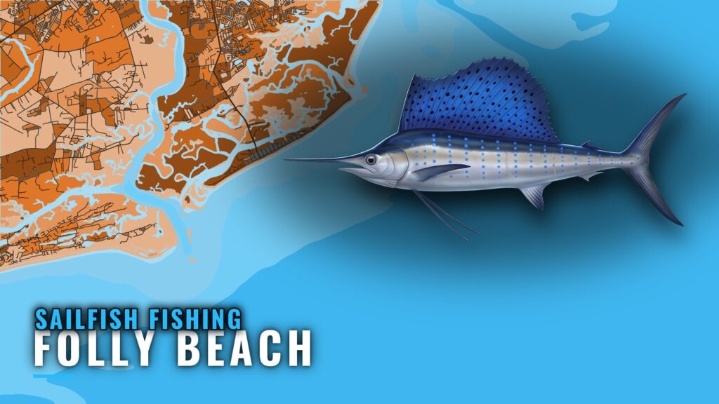Sailfish Fishing Out of Folly Beach: Season, Run, Grounds