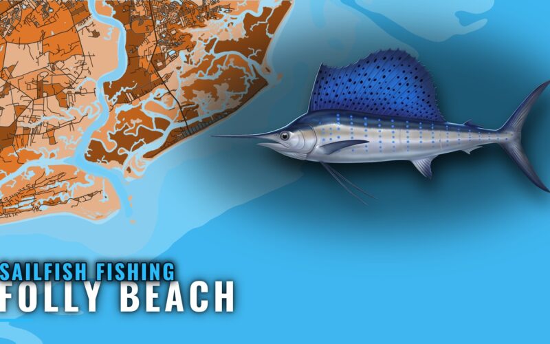 Sailfish Fishing Out of Folly Beach: Season, Run, Grounds