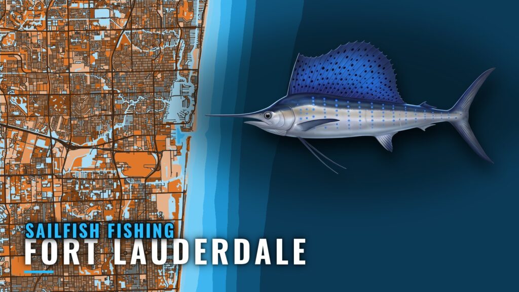 Sailfish Fishing out of Fort Lauderdale: Grounds and Season