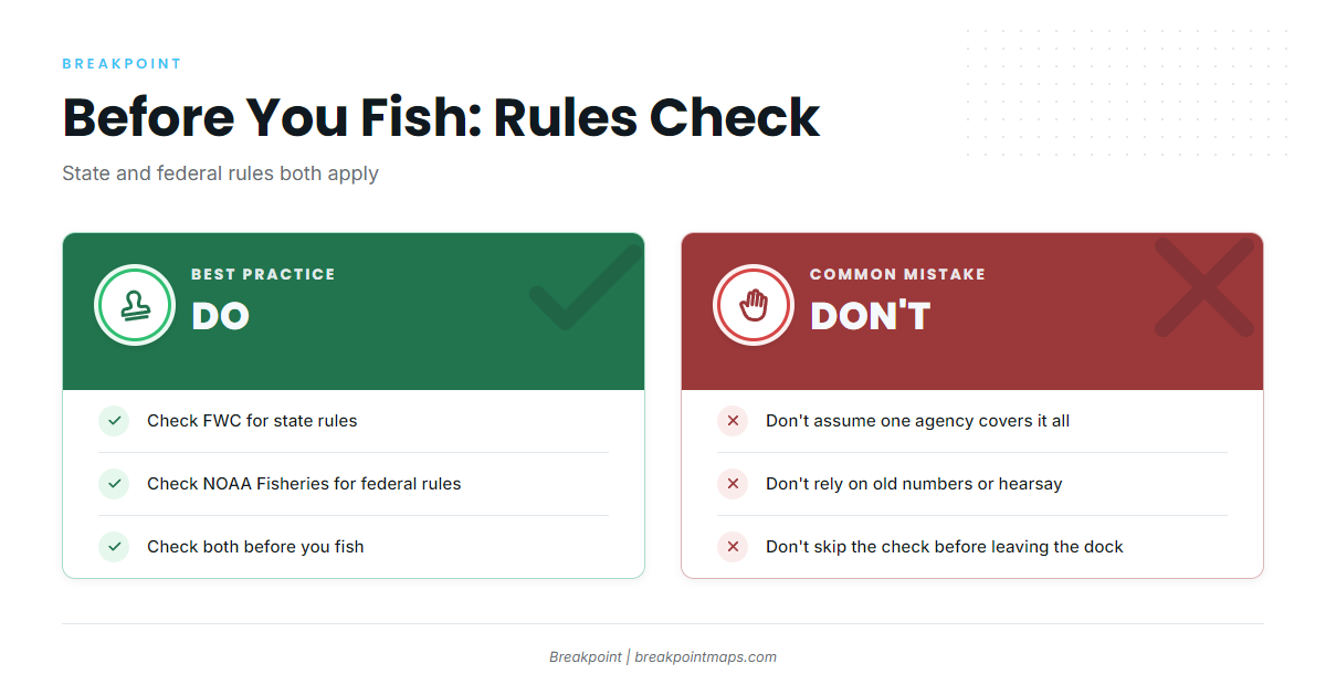 Regulations for sailfish fishing out of Fort Myers Beach