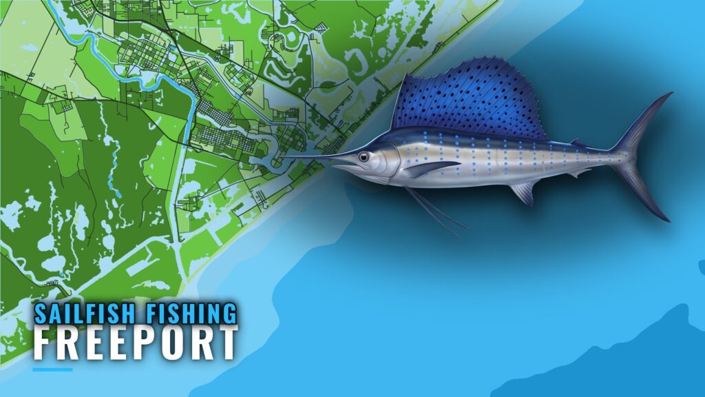 Sailfish Fishing Out of Freeport, Texas: Run, Reefs, Rules
