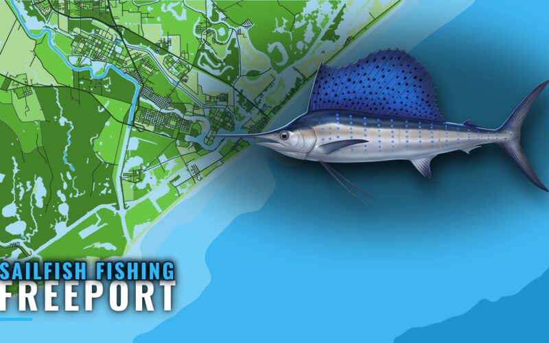 Sailfish Fishing Out of Freeport, Texas: Run, Reefs, Rules