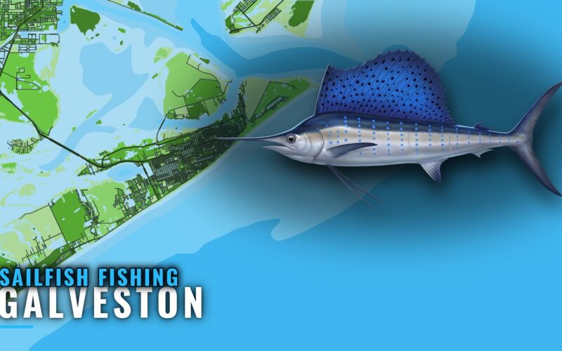 Sailfish Fishing Out of Galveston: Runs, Grounds and Buoys