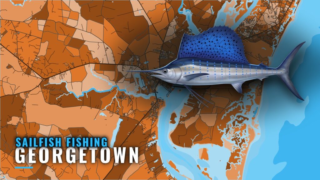 Sailfish Fishing out of Georgetown, SC: When and Where