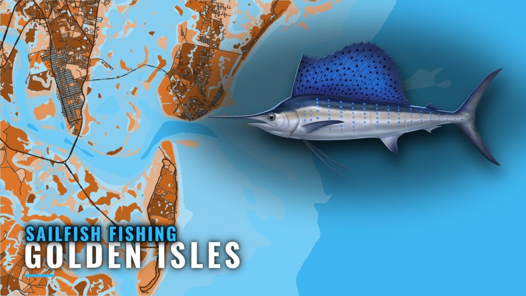 Sailfish Fishing Out of Golden Isles: Runs, Reefs, Rips