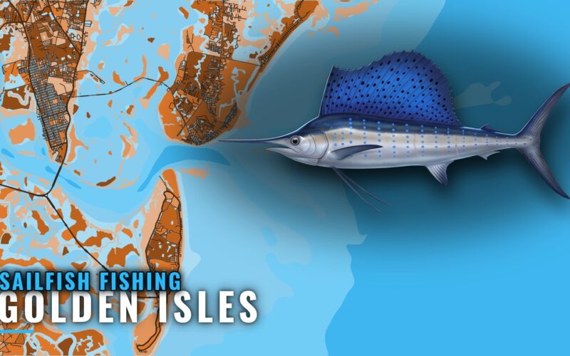 Sailfish Fishing Out of Golden Isles: Runs, Reefs, Rips