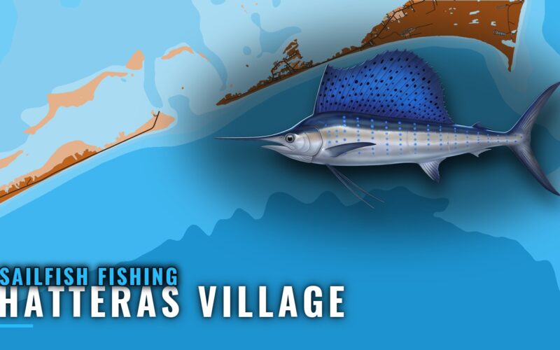 Sailfish Fishing Out of Hatteras Village: Season and Grounds