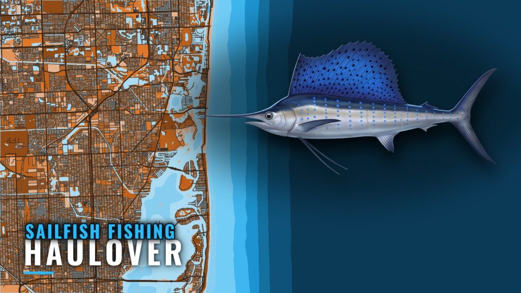 Sailfish Fishing out of Haulover: Run, Depths and Boats