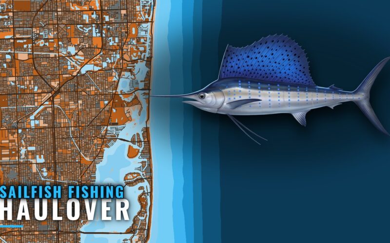 Sailfish Fishing out of Haulover: Run, Depths and Boats