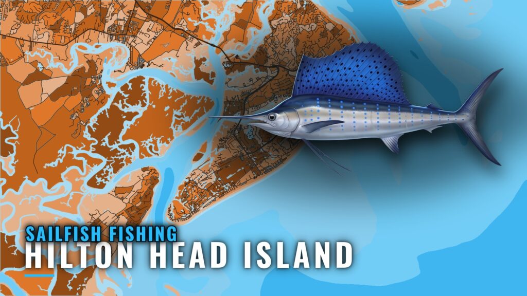 Sailfish Fishing Out of Hilton Head Island: Run and Reefs