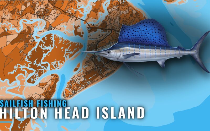 Sailfish Fishing Out of Hilton Head Island: Run and Reefs