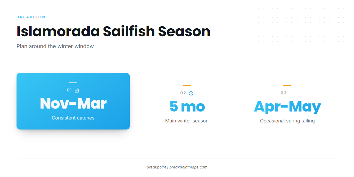 When sailfish are around Islamorada