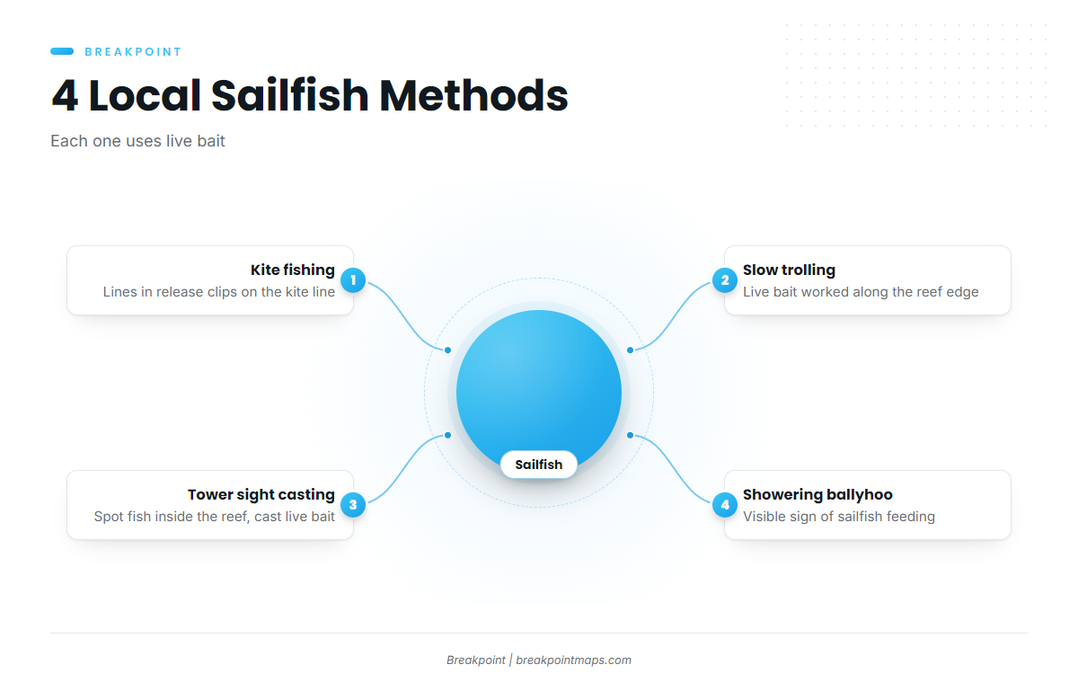 How sailfish are fished locally