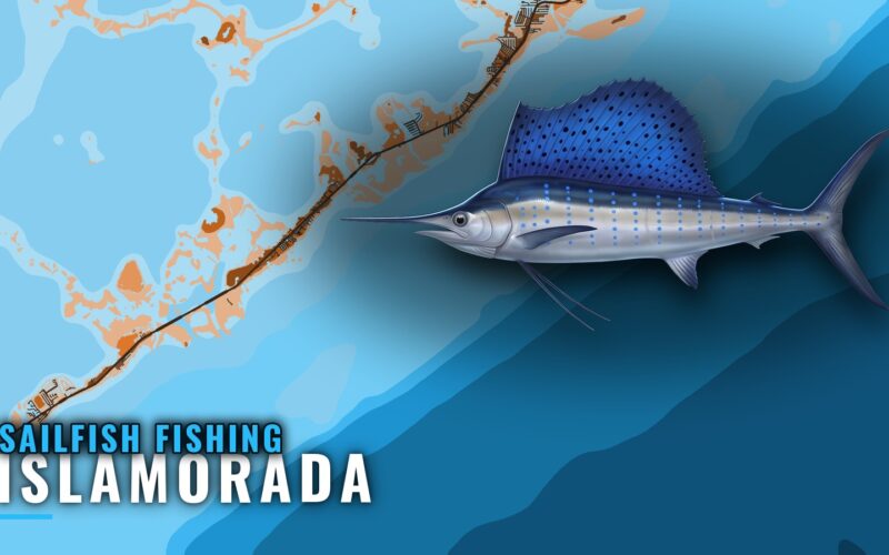 Sailfish Fishing Out of Islamorada: Where, When and How
