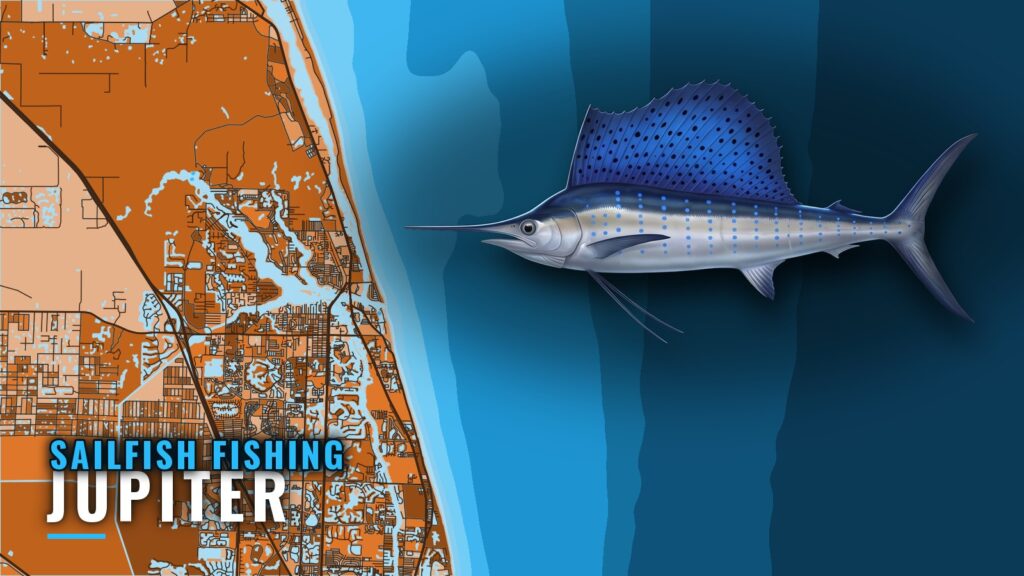 Sailfish Fishing Out of Jupiter: Season, Grounds, Method