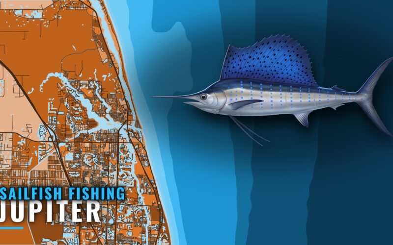 Sailfish Fishing Out of Jupiter: Season, Grounds, Method