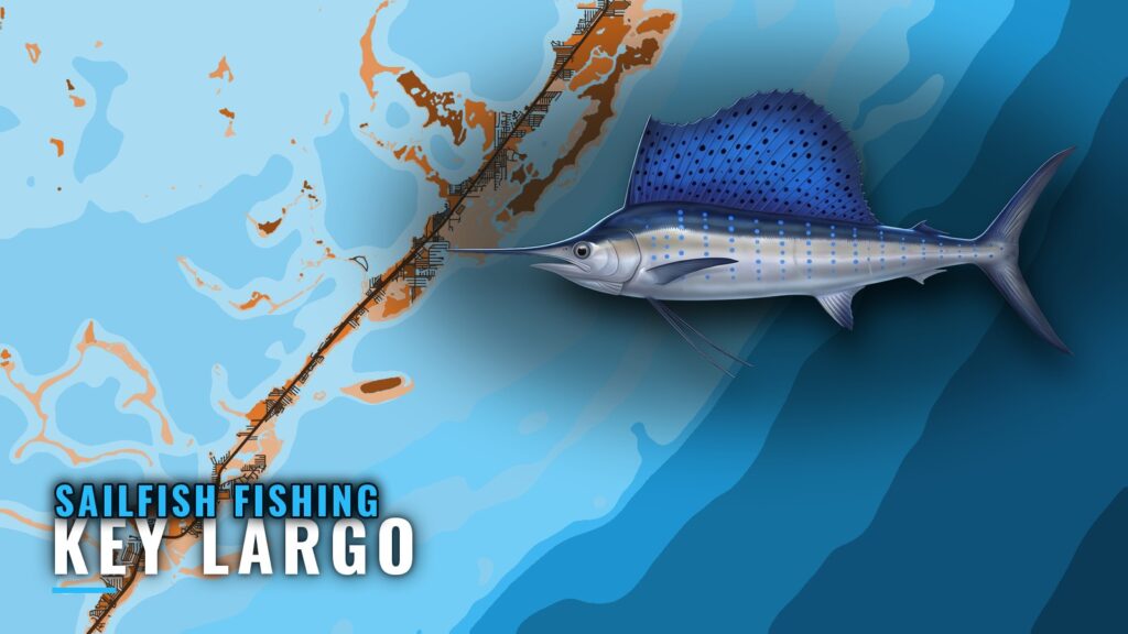 Sailfish Fishing Out of Key Largo: Grounds and Depths