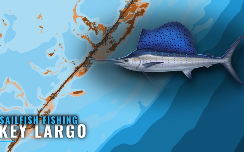 Sailfish Fishing Out of Key Largo: Grounds and Depths