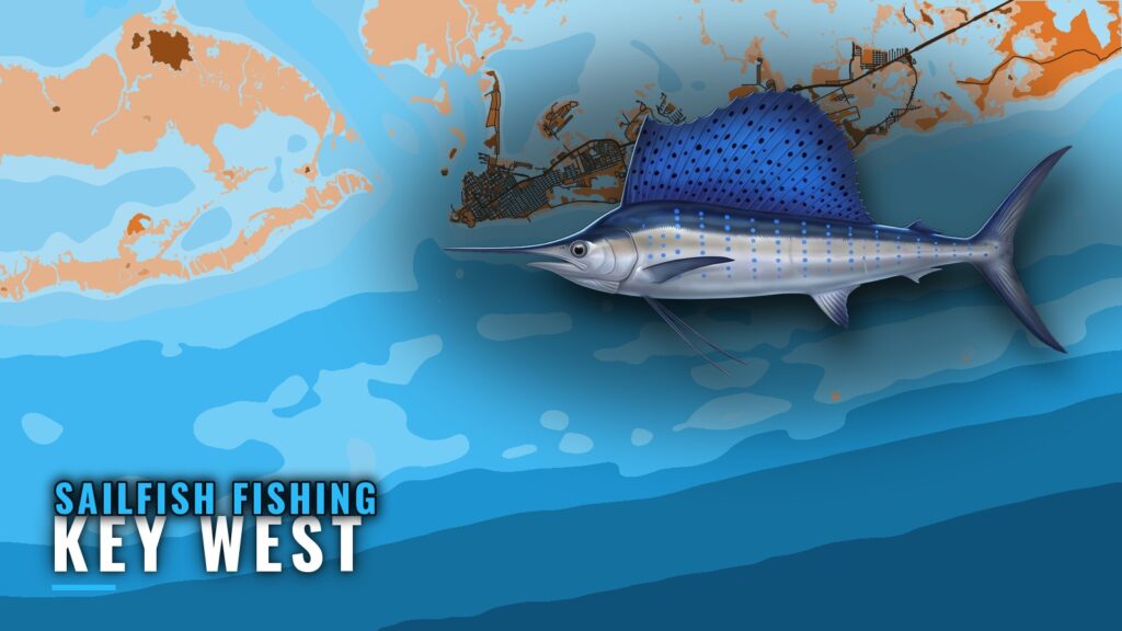 Sailfish Fishing Out of Key West: Runs, Grounds, Rules