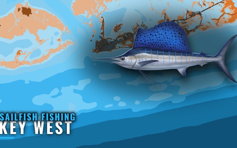 Sailfish Fishing Out of Key West: Runs, Grounds, Rules