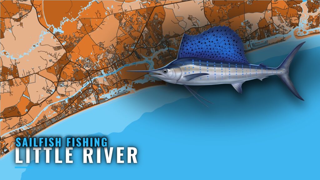 Sailfish Fishing Out of Little River: Summer Grounds