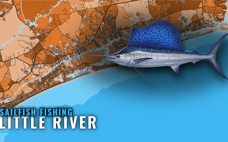 Sailfish Fishing Out of Little River: Summer Grounds