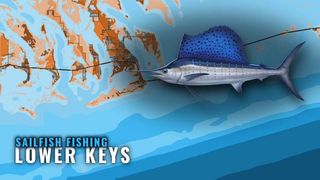 Sailfish Fishing out of Lower Keys: Runs, Grounds, Season