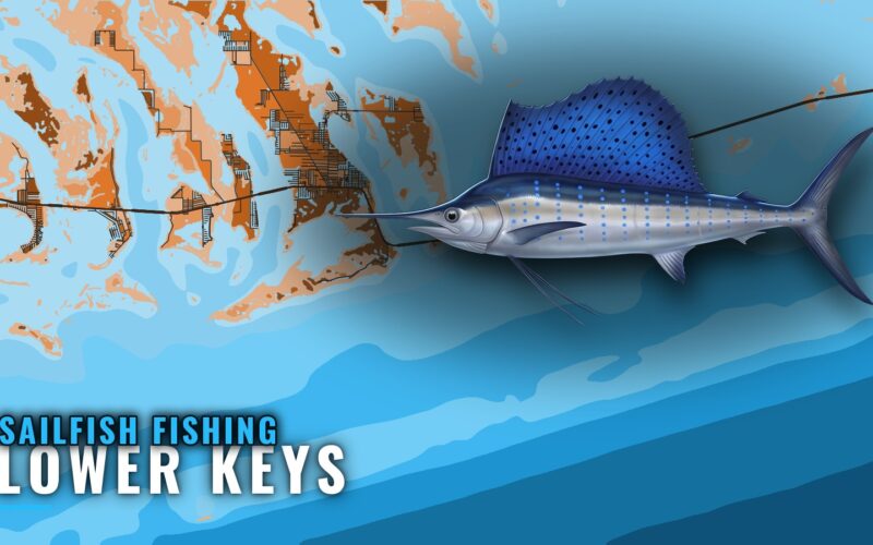 Sailfish Fishing out of Lower Keys: Runs, Grounds, Season