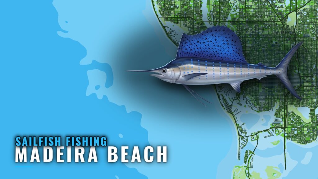 Sailfish Fishing out of Madeira Beach: Where and How